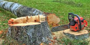 Best Tree Cabling and Bracing  in Hartley, CA